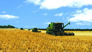 农业农村部：提高耕地质量水平 保障国家粮食生产安全