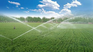 今年河南省将创建高效节水灌溉示范区54万亩