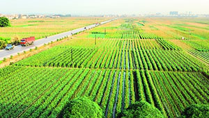 湖南创建100个绿色食品示范基地 辐射带动基地面积498万亩