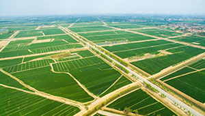 甘肃省将着力建成1520万亩高标准农田