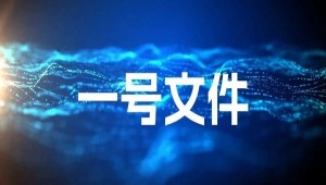 首提“农业新质生产力”，2025年中央一号文件在智慧农业领域传递了哪些重要信号？