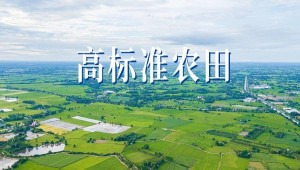 “技”“管”融合、三位一体，看托普云农如何助力高标准农田建设