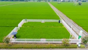 托普云农高标准农田建设案例：用实践书写政策新篇