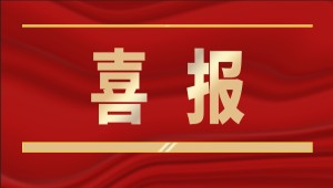 喜报！托普云农入选2025年“领军型”浙江数商名单